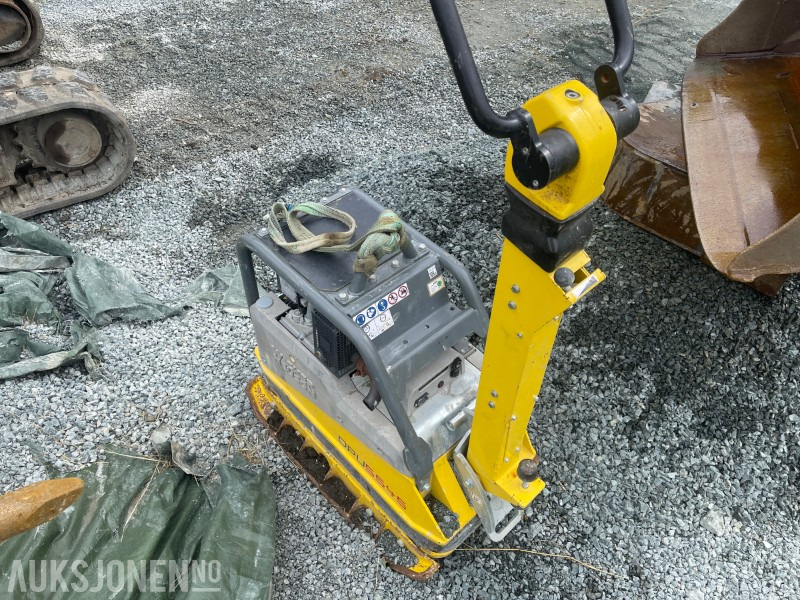 2023 Wacker Neuson DPU554HECH Strøken vibroplate/hoppetuse klar for ny eier - Valjak: slika 1 2023 Wacker Neuson DPU554HECH Strøken vibroplate/hoppetuse klar for ny eier - Valjak: slika 1