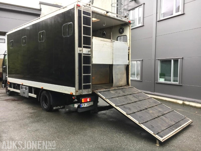 2004 DAF LF 45.220 - Hestebil / Transportbil, 202552km - Korisno/ Posebno vozilo: slika 2 2004 DAF LF 45.220 - Hestebil / Transportbil, 202552km - Korisno/ Posebno vozilo: slika 2