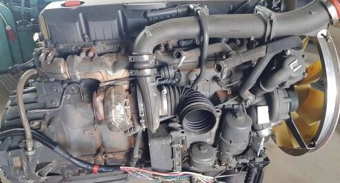 DAF MX13460 DAF truck - Motor za Kamion: slika 1 DAF MX13460 DAF truck - Motor za Kamion: slika 1
