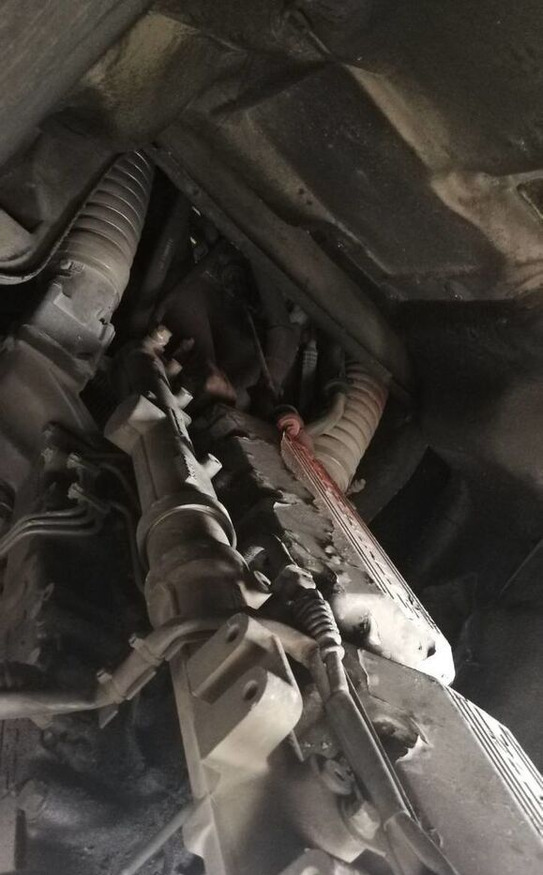 DAF XE 315 C1 DAF XF - Motor za Kamion: slika 1 DAF XE 315 C1 DAF XF - Motor za Kamion: slika 1