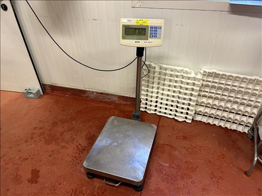 Precia Access Mini400 Platform scale - Oprema za prehrambenu industriju: slika 1 Precia Access Mini400 Platform scale - Oprema za prehrambenu industriju: slika 1