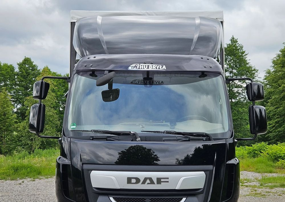DAF LF 290/WINDA/16TON DMC/FIRANKA/AUTOMAT/16TON DMC/JEDEN WŁAŚCICIE/EURO 6/2019/SPROWADZONY/20PALET/NISKI PRZEBIEG/DUŻA ŁADOWNOŚĆ/JAK NOWY - Kamion sa ceradom: slika 5 DAF LF 290/WINDA/16TON DMC/FIRANKA/AUTOMAT/16TON DMC/JEDEN WŁAŚCICIE/EURO 6/2019/SPROWADZONY/20PALET/NISKI PRZEBIEG/DUŻA ŁADOWNOŚĆ/JAK NOWY - Kamion sa ceradom: slika 5