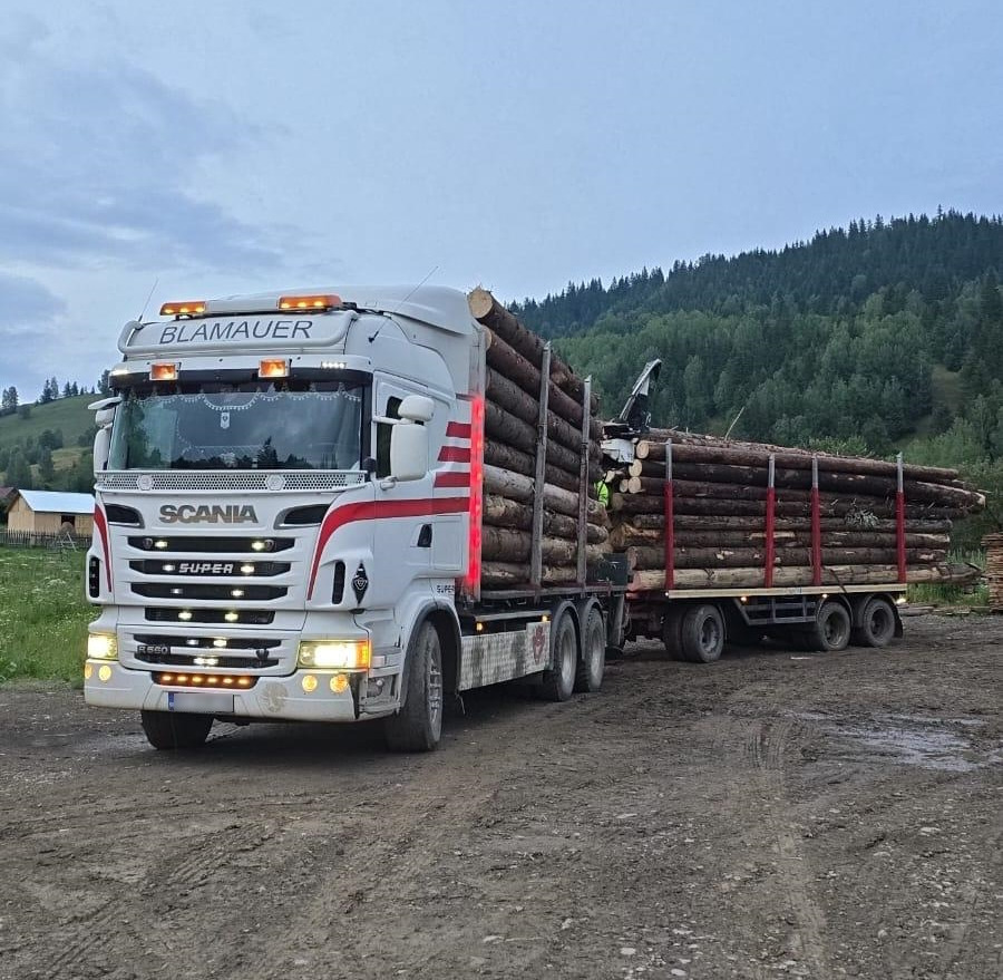 SCANIA R560 V8 - Šticar, Kamion sa dizalicom: slika 1 SCANIA R560 V8 - Šticar, Kamion sa dizalicom: slika 1