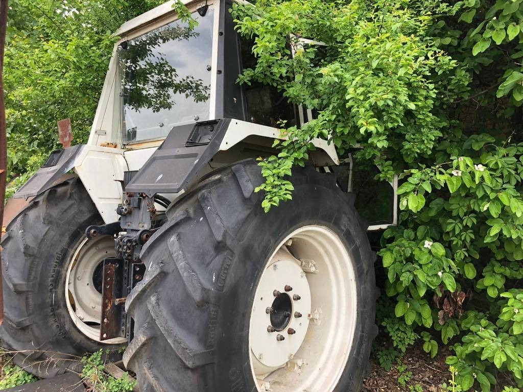 Lamborghini For Parts 1556 DT - Traktor: slika 3 Lamborghini For Parts 1556 DT - Traktor: slika 3