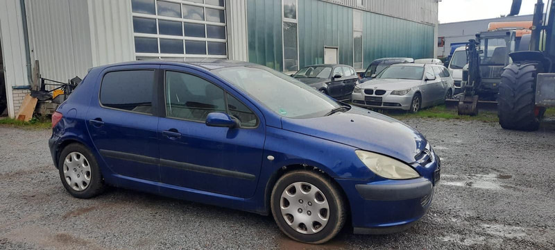 Peugeot 307 Grand Filou - Hečbek: slika 2 Peugeot 307 Grand Filou - Hečbek: slika 2