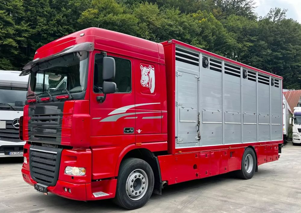 DAF XF 105.460 Euro 5 // Manual // Retarder // Do Żywca / Bydła / Zwierząt / - Kamion za prevoz stoke: slika 1 DAF XF 105.460 Euro 5 // Manual // Retarder // Do Żywca / Bydła / Zwierząt / - Kamion za prevoz stoke: slika 1