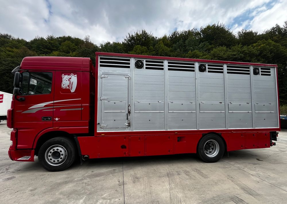 DAF XF 105.460 Euro 5 // Manual // Retarder // Do Żywca / Bydła / Zwierząt / - Kamion za prevoz stoke: slika 5 DAF XF 105.460 Euro 5 // Manual // Retarder // Do Żywca / Bydła / Zwierząt / - Kamion za prevoz stoke: slika 5