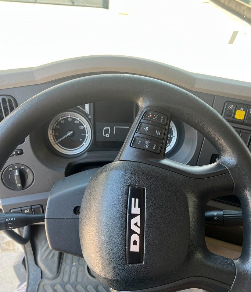 Kamion sa zatvorenim sandukom Daf lf 250 fa furgone 8 mt euro 6: slika 17