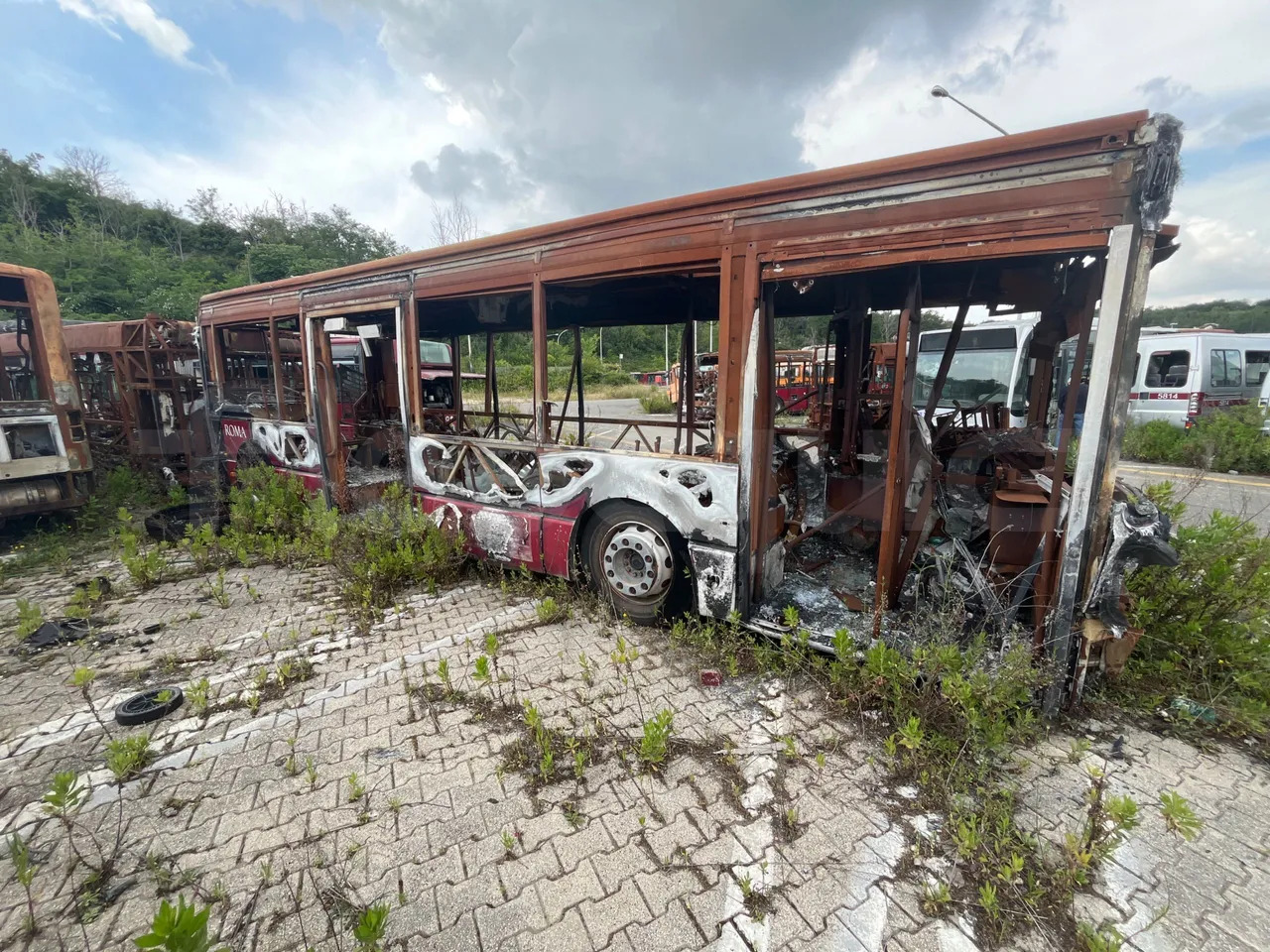 Bundle di 7 mezzi Iveco - Citelis Iveco - Citelis Iveco - Citelis Iveco - Citelis Iveco - Citelis Iveco - Citelis Iveco - Citelis - Gradski autobus: slika 3 Bundle di 7 mezzi Iveco - Citelis Iveco - Citelis Iveco - Citelis Iveco - Citelis Iveco - Citelis Iveco - Citelis Iveco - Citelis - Gradski autobus: slika 3