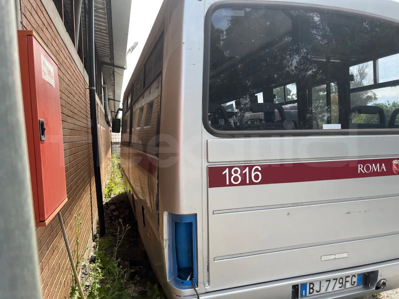 Iveco Cacciamali - Školski autobus: slika 4 Iveco Cacciamali - Školski autobus: slika 4
