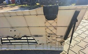 Hauba za Kamion Renault Midlum: slika 6 Hauba za Kamion Renault Midlum: slika 6