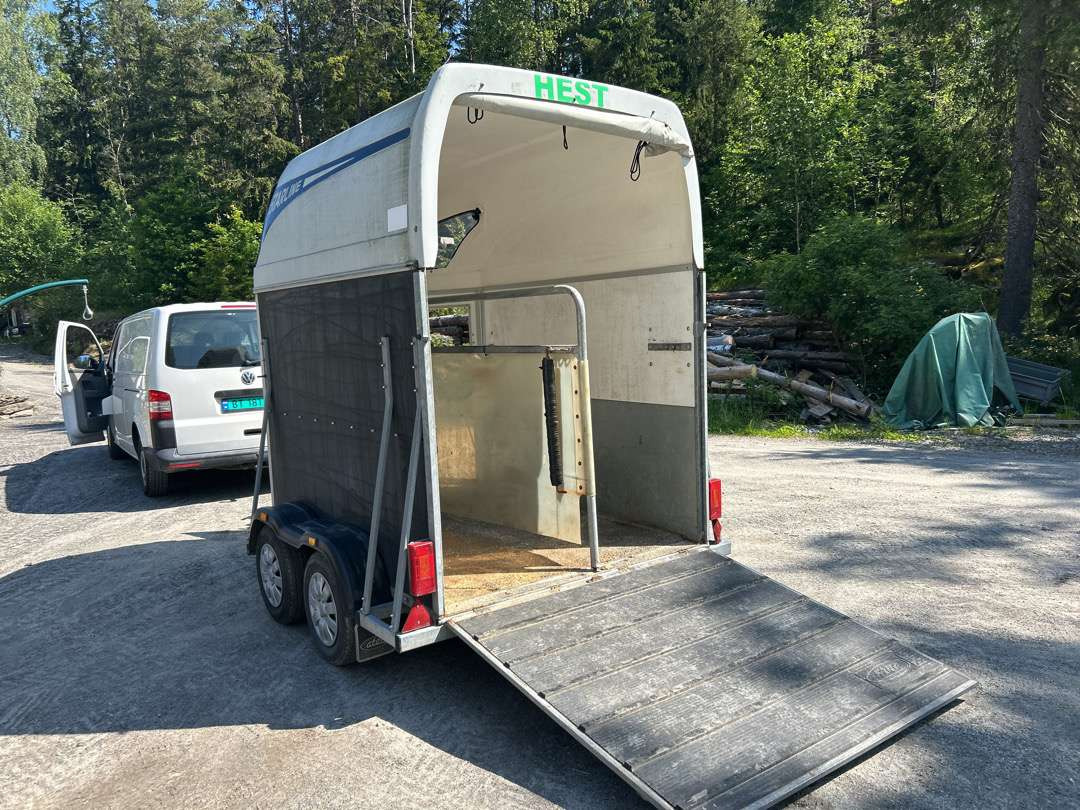 2008 Hestehenger STARLINE DIAMOND - Prikolica: slika 4 2008 Hestehenger STARLINE DIAMOND - Prikolica: slika 4