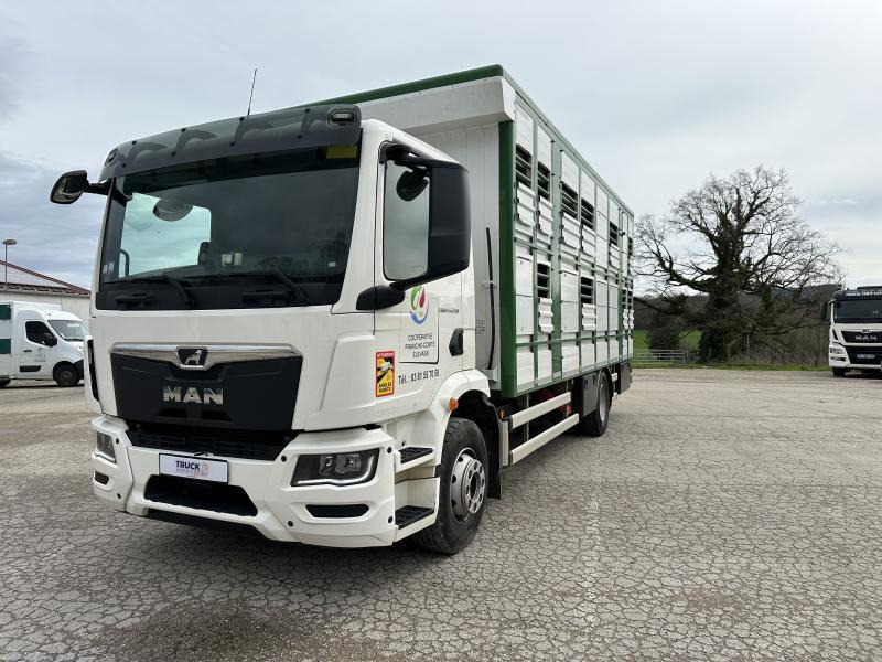 MAN M 90 15.290 TGM - Kamion za prevoz stoke: slika 1 MAN M 90 15.290 TGM - Kamion za prevoz stoke: slika 1