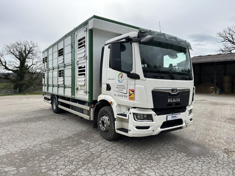 MAN M 90 15.290 TGM - Kamion za prevoz stoke: slika 2 MAN M 90 15.290 TGM - Kamion za prevoz stoke: slika 2