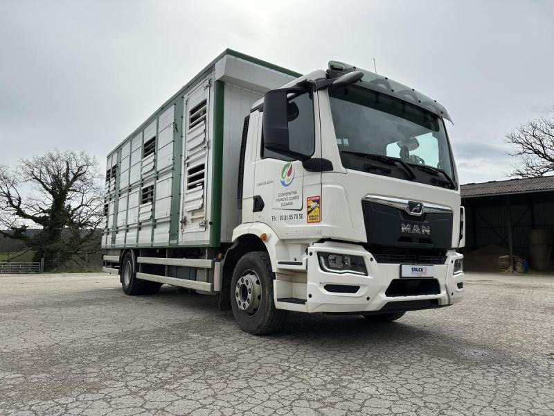 MAN M 90 15.290 TGM - Kamion za prevoz stoke: slika 4 MAN M 90 15.290 TGM - Kamion za prevoz stoke: slika 4