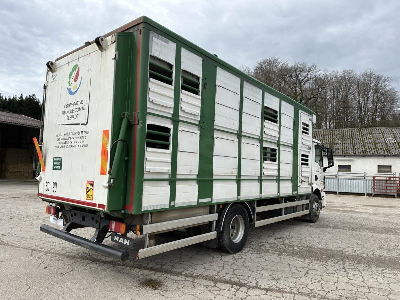 MAN M 90 15.290 TGM - Kamion za prevoz stoke: slika 5 MAN M 90 15.290 TGM - Kamion za prevoz stoke: slika 5