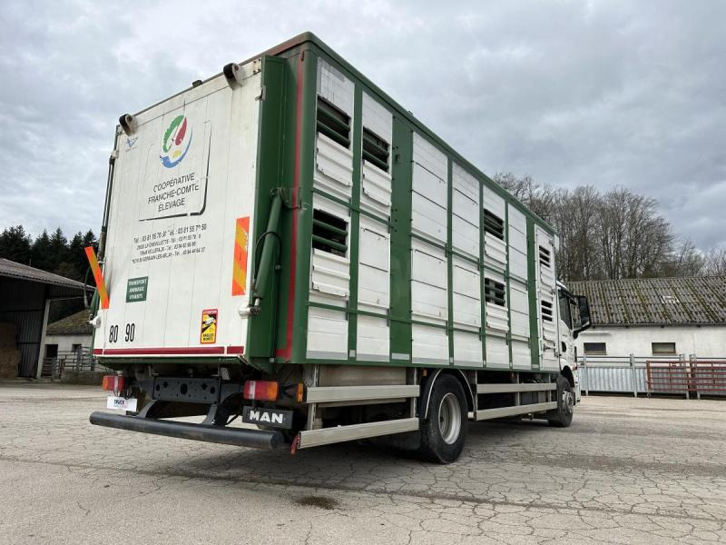 MAN M 90 15.290 TGM MAN M 90 15.290 TGM: slika 7