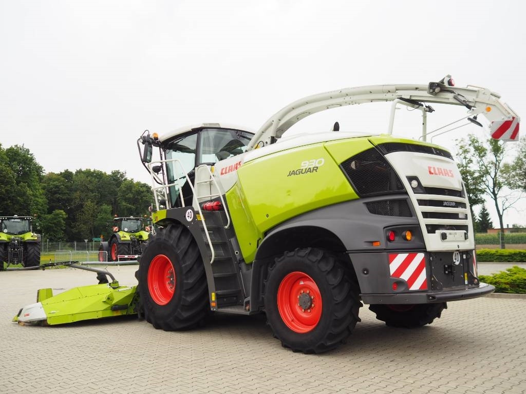 Claas Jaguar 930 + Orbis 600 SD - Kombajn za stočnu hranu: slika 2 Claas Jaguar 930 + Orbis 600 SD - Kombajn za stočnu hranu: slika 2