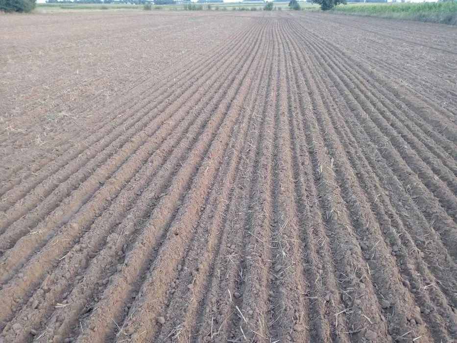 Lemken Karat 9/500 agregat bezorkowy - Oprema za obradu zemljišta: slika 2 Lemken Karat 9/500 agregat bezorkowy - Oprema za obradu zemljišta: slika 2