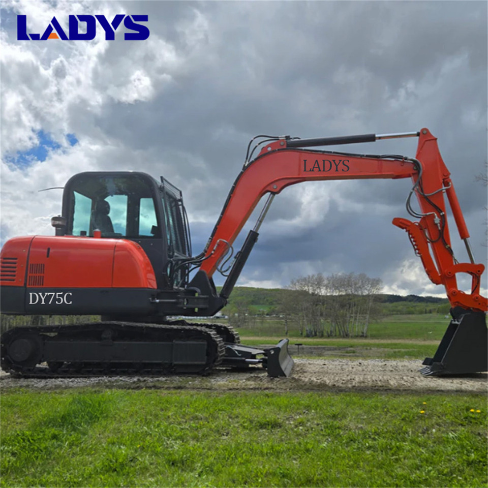 LADYS DY75C Small Excavator Euro 5/Epa Yanmar Engine Small Excavator Crawler Excavator For Sale - Bager guseničar: slika 1 LADYS DY75C Small Excavator Euro 5/Epa Yanmar Engine Small Excavator Crawler Excavator For Sale - Bager guseničar: slika 1