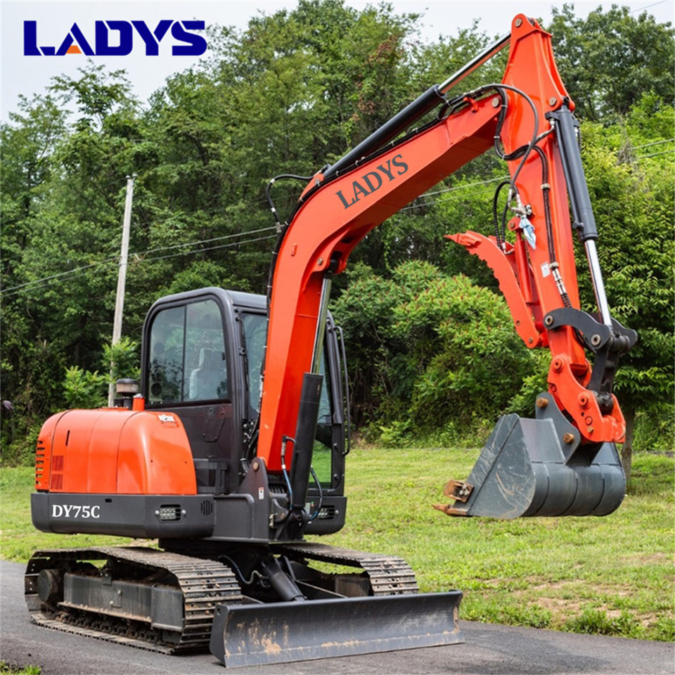 LADYS DY75C Small Excavator Euro 5/Epa Yanmar Engine Small Excavator Crawler Excavator For Sale - Bager guseničar: slika 4 LADYS DY75C Small Excavator Euro 5/Epa Yanmar Engine Small Excavator Crawler Excavator For Sale - Bager guseničar: slika 4