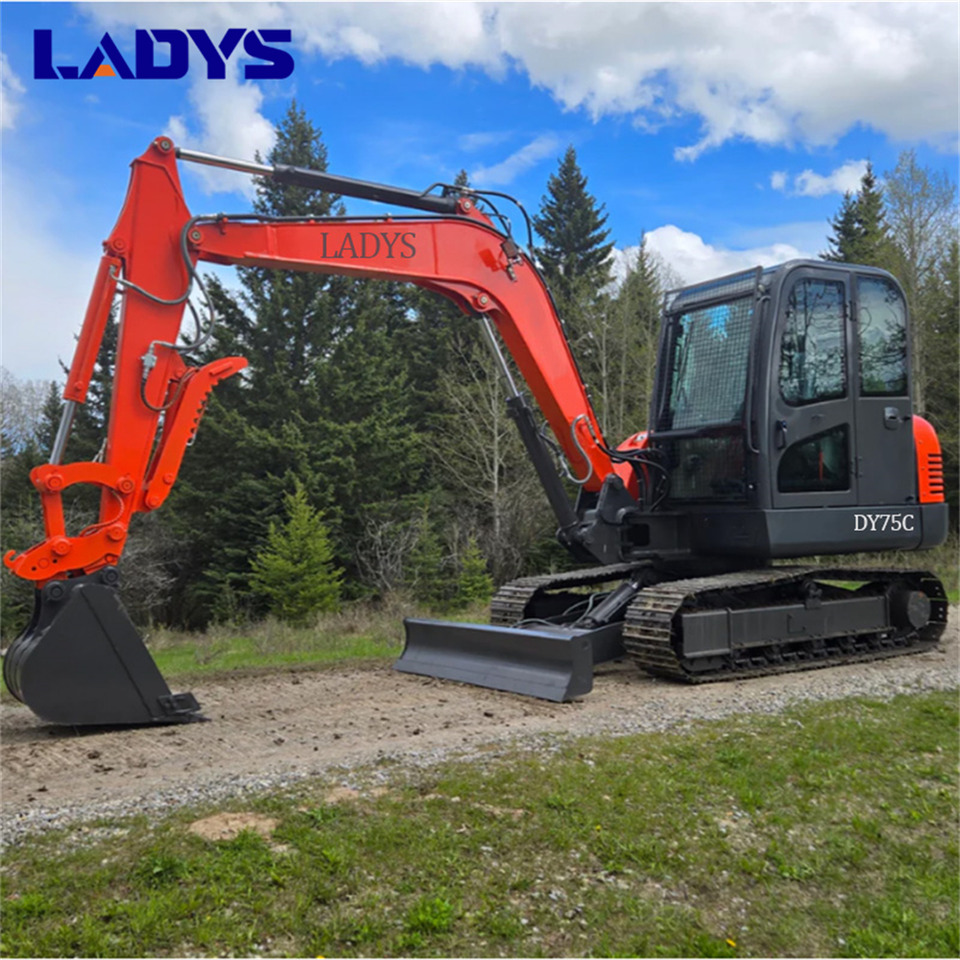 LADYS DY75C Small Excavator Euro 5/Epa Yanmar Engine Small Excavator Crawler Excavator For Sale - Bager guseničar: slika 2 LADYS DY75C Small Excavator Euro 5/Epa Yanmar Engine Small Excavator Crawler Excavator For Sale - Bager guseničar: slika 2