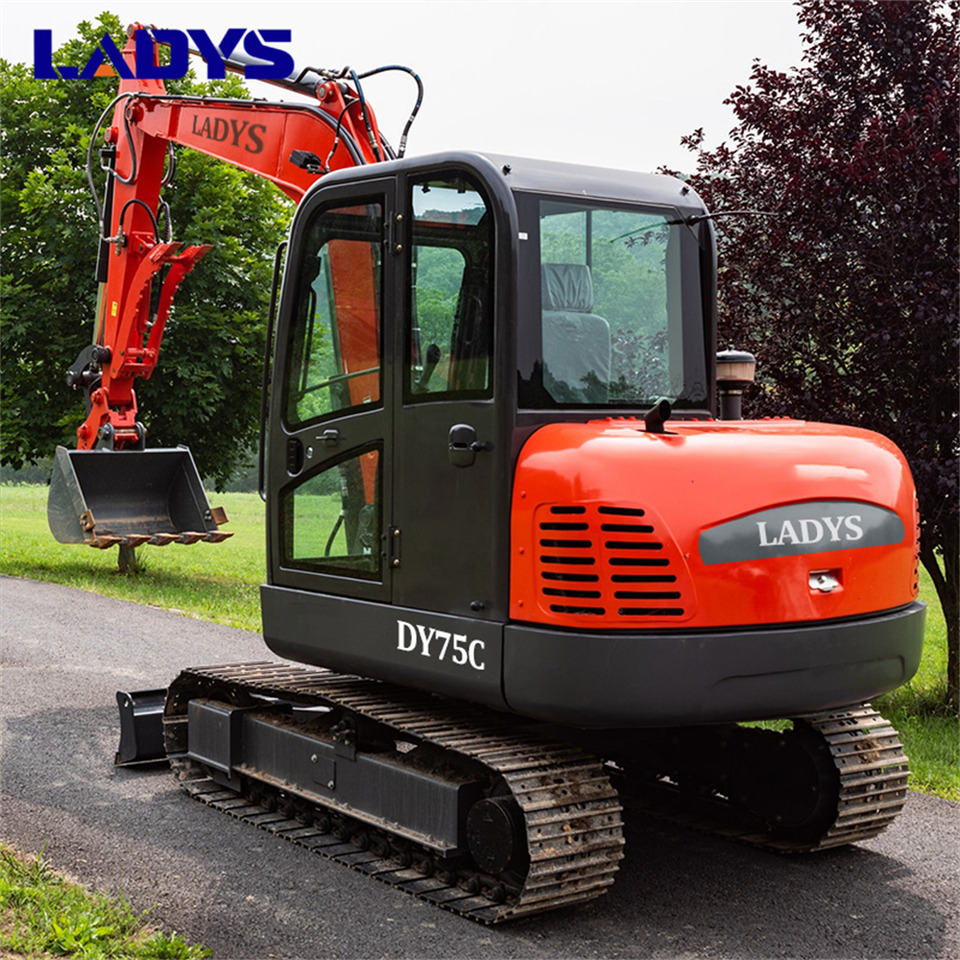 LADYS DY75C Small Excavator Euro 5/Epa Yanmar Engine Small Excavator Crawler Excavator For Sale - Bager guseničar: slika 5 LADYS DY75C Small Excavator Euro 5/Epa Yanmar Engine Small Excavator Crawler Excavator For Sale - Bager guseničar: slika 5