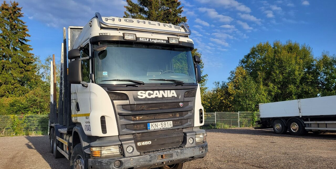 Scania G480 - Šticar, Kamion sa dizalicom: slika 3 Scania G480 - Šticar, Kamion sa dizalicom: slika 3