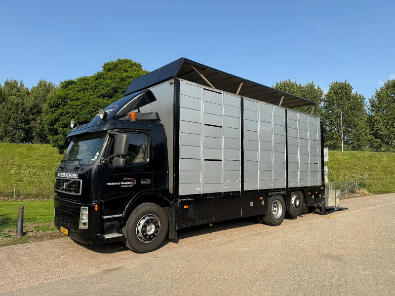 Volvo FM 300 Livestock Cuppers 3 laags 6x2 - Kamion za prevoz stoke: slika 1 Volvo FM 300 Livestock Cuppers 3 laags 6x2 - Kamion za prevoz stoke: slika 1