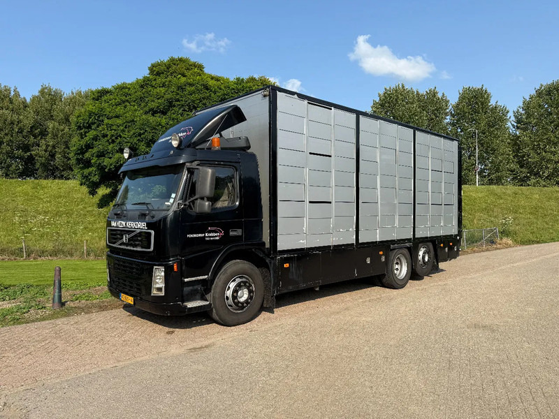 Volvo FM 300 Livestock Cuppers 3 laags 6x2 - Kamion za prevoz stoke: slika 3 Volvo FM 300 Livestock Cuppers 3 laags 6x2 - Kamion za prevoz stoke: slika 3