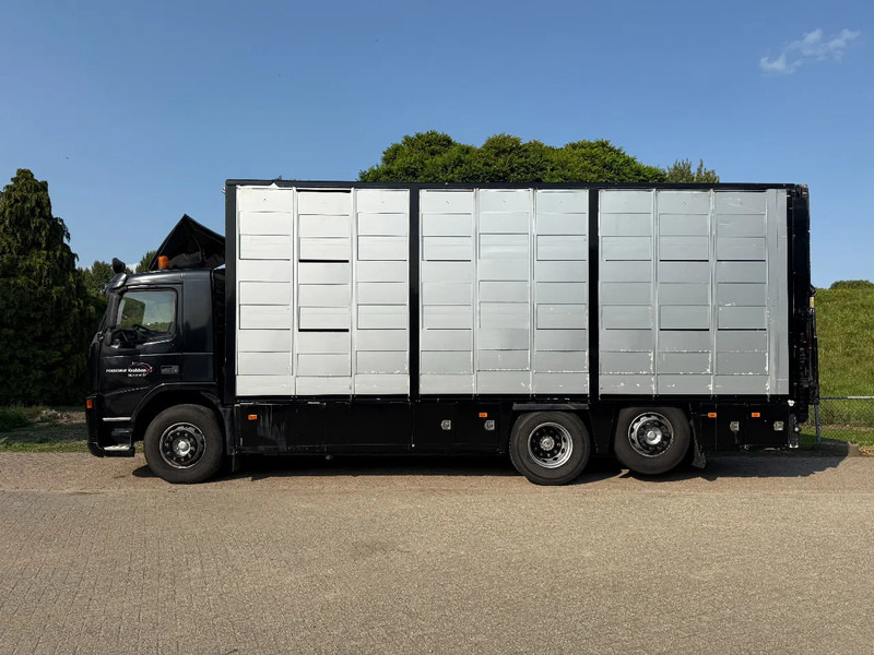 Volvo FM 300 Livestock Cuppers 3 laags 6x2 - Kamion za prevoz stoke: slika 4 Volvo FM 300 Livestock Cuppers 3 laags 6x2 - Kamion za prevoz stoke: slika 4
