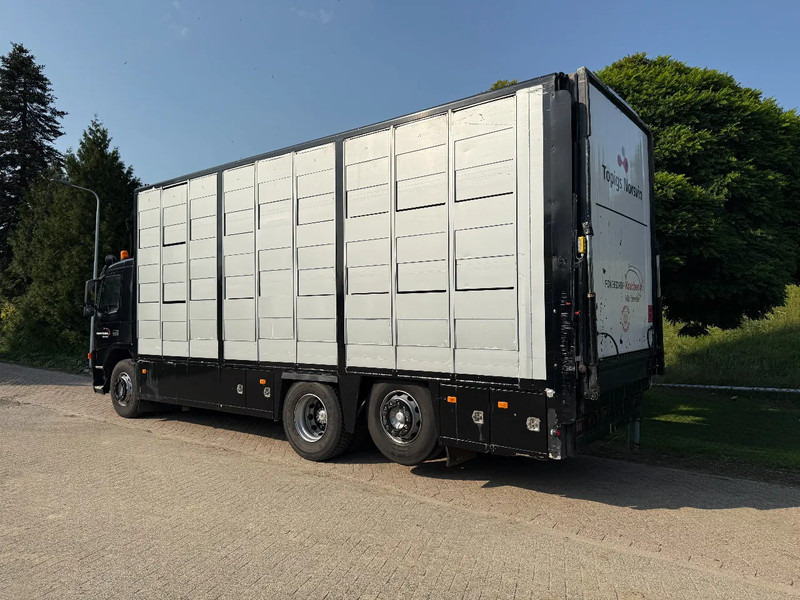 Volvo FM 300 Livestock Cuppers 3 laags 6x2 - Kamion za prevoz stoke: slika 5 Volvo FM 300 Livestock Cuppers 3 laags 6x2 - Kamion za prevoz stoke: slika 5