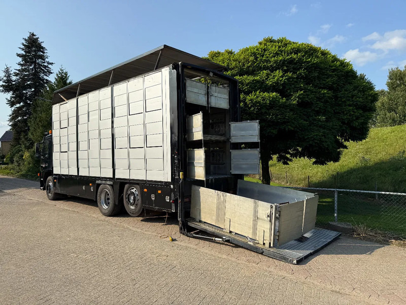 Volvo FM 300 Livestock Cuppers 3 laags 6x2 - Kamion za prevoz stoke: slika 2 Volvo FM 300 Livestock Cuppers 3 laags 6x2 - Kamion za prevoz stoke: slika 2