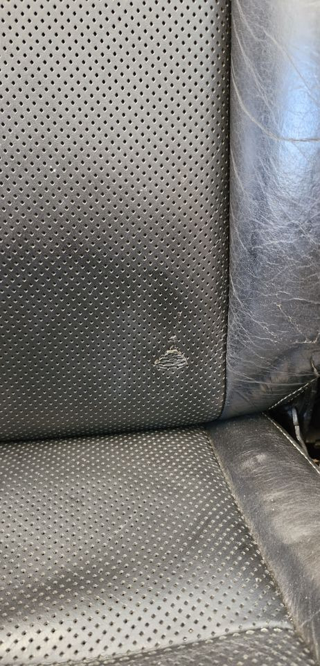 SCANIA R S FOTEL PASAŻERA - Sedište: slika 5 SCANIA R S FOTEL PASAŻERA - Sedište: slika 5