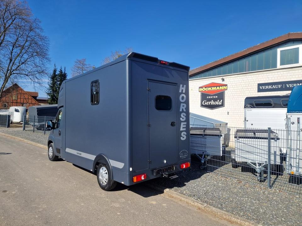 MSG Stablehopper Pferdetransporter Pferdeanhänger Böckmann - Kamioni za prevoz konja: slika 4 MSG Stablehopper Pferdetransporter Pferdeanhänger Böckmann - Kamioni za prevoz konja: slika 4