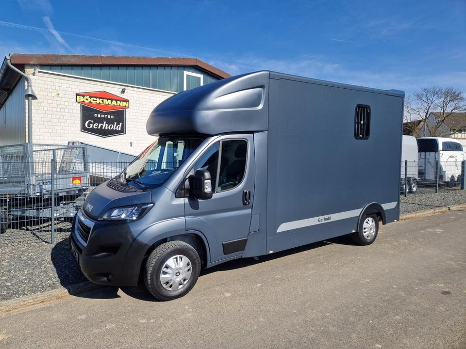 MSG Stablehopper Pferdetransporter Pferdeanhänger Böckmann - Kamioni za prevoz konja: slika 2 MSG Stablehopper Pferdetransporter Pferdeanhänger Böckmann - Kamioni za prevoz konja: slika 2