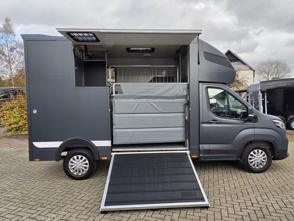 MSG Stablehopper Pferdetransporter Pferdeanhänger Böckmann - Kamioni za prevoz konja: slika 3 MSG Stablehopper Pferdetransporter Pferdeanhänger Böckmann - Kamioni za prevoz konja: slika 3