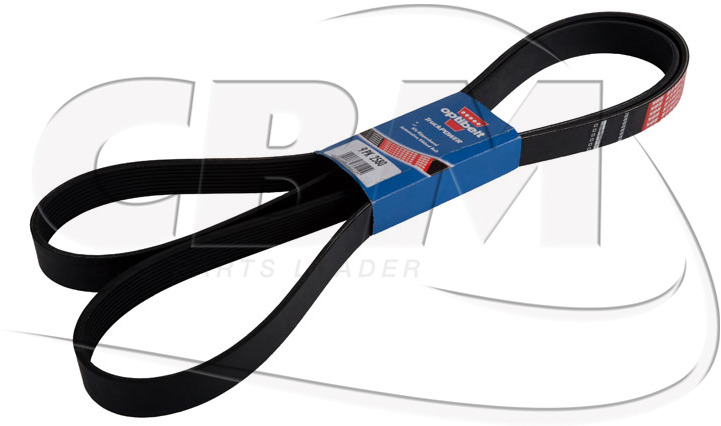 DAYCO BELT - KASSBOHRER DAF IRISBUS - IVECO - RVI (8311000859 | 1518746 | 1160281 | 7701003456) - Remen za Autobus: slika 1 DAYCO BELT - KASSBOHRER DAF IRISBUS - IVECO - RVI (8311000859 | 1518746 | 1160281 | 7701003456) - Remen za Autobus: slika 1