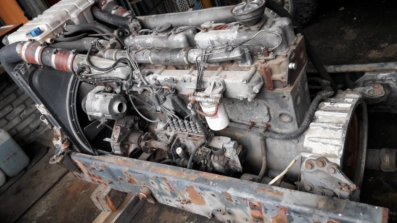 DAF WS268G DAF 95 85 - Motor za Kamion: slika 3 DAF WS268G DAF 95 85 - Motor za Kamion: slika 3