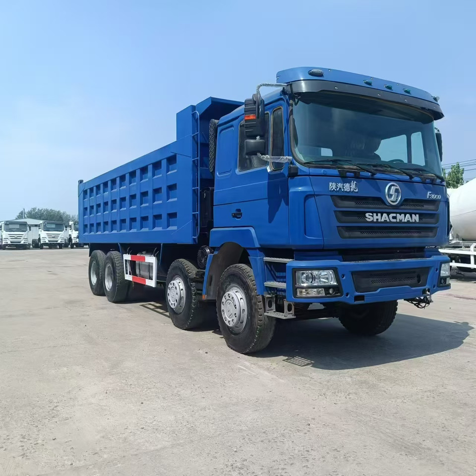 SHACMAN F3000 6X4 Click Here for DISCOUNT - Istovarivač: slika 1 SHACMAN F3000 6X4 Click Here for DISCOUNT - Istovarivač: slika 1