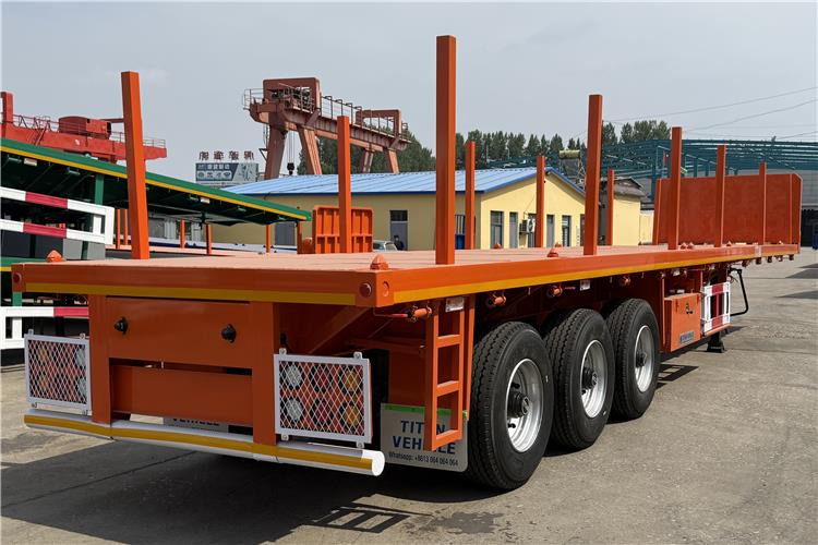 TITAN Container Flatbed Truck Trailer with Piles In Angola - Poluprikolica za prevoz kontejnera/ Poluprikolica sa promenjivim sandukom: slika 3 TITAN Container Flatbed Truck Trailer with Piles In Angola - Poluprikolica za prevoz kontejnera/ Poluprikolica sa promenjivim sandukom: slika 3