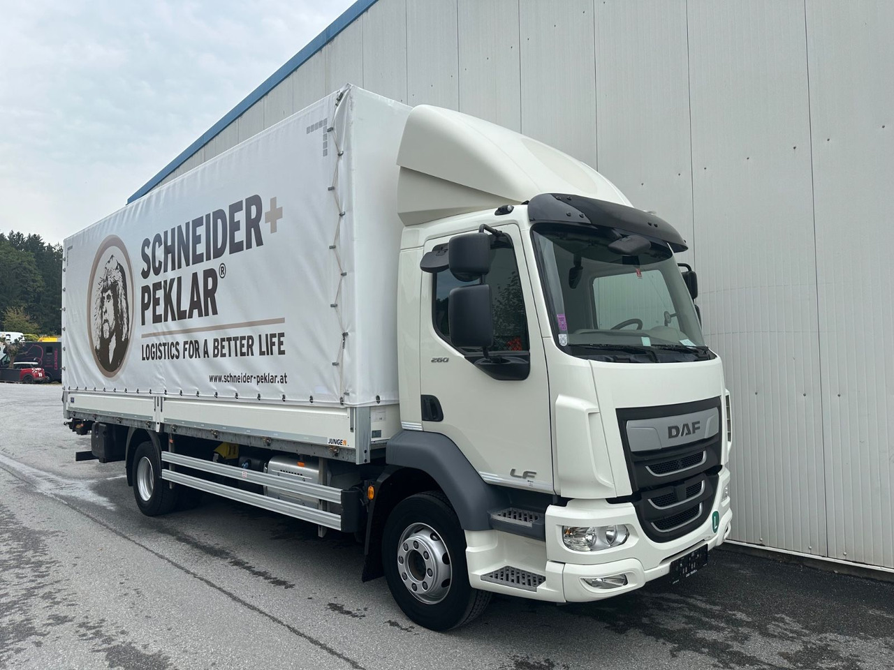 DAF LF 260 16T LBW Garantie - Kamion sa ceradom: slika 2 DAF LF 260 16T LBW Garantie - Kamion sa ceradom: slika 2