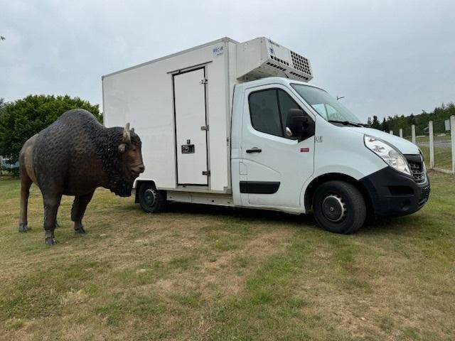 Renault Master - Dostavno vozilo hladnjača: slika 5 Renault Master - Dostavno vozilo hladnjača: slika 5