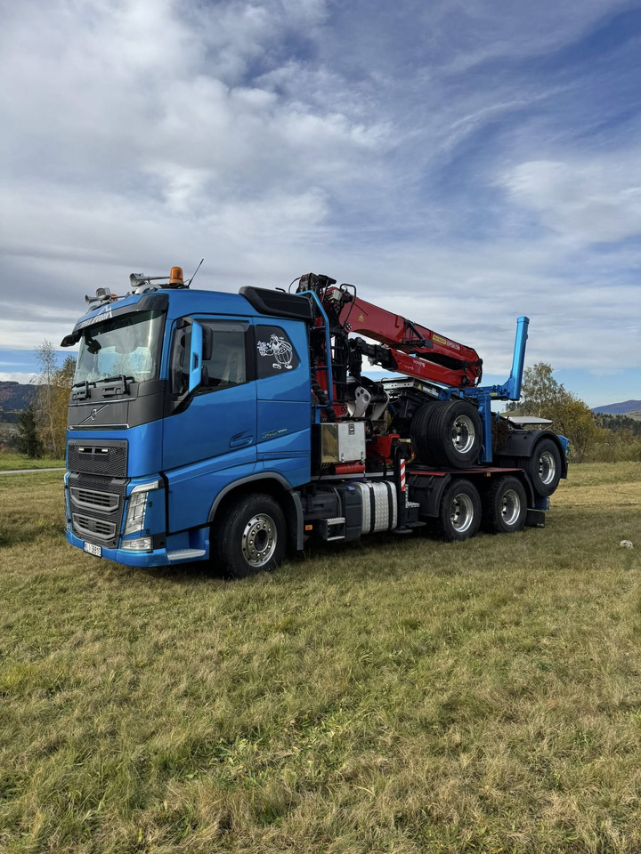 VOLVO FH540 - Šticar, Kamion sa dizalicom: slika 3 VOLVO FH540 - Šticar, Kamion sa dizalicom: slika 3