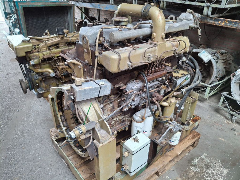 DAF 825 TURBO (DHU825) - Motor: slika 1 DAF 825 TURBO (DHU825) - Motor: slika 1