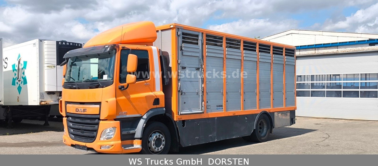 DAF CF 400 Menke Einstock - Kamioni za prevoz konja: slika 3 DAF CF 400 Menke Einstock - Kamioni za prevoz konja: slika 3