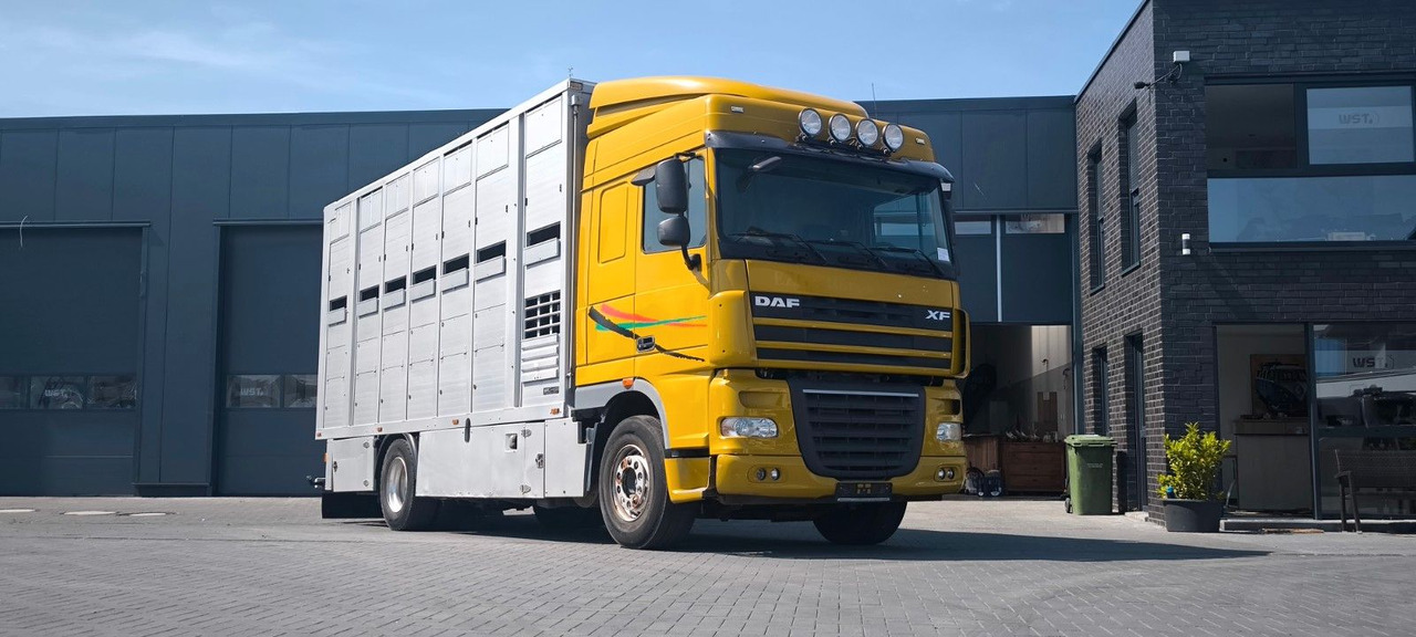 DAF XF 410 SC Menke Doppelstock - Kamioni za prevoz konja: slika 4 DAF XF 410 SC Menke Doppelstock - Kamioni za prevoz konja: slika 4