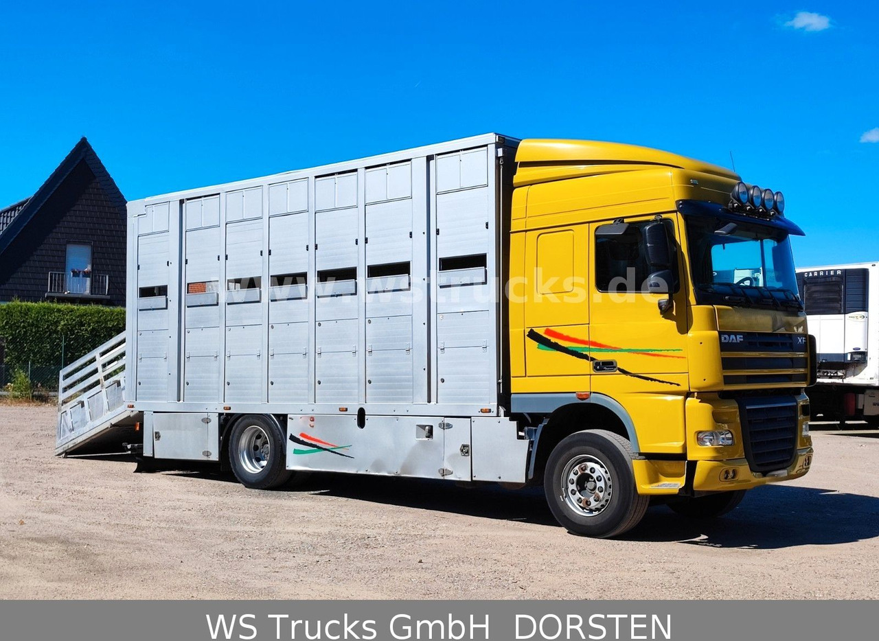 DAF XF 410 SC Menke Doppelstock - Kamioni za prevoz konja: slika 5 DAF XF 410 SC Menke Doppelstock - Kamioni za prevoz konja: slika 5