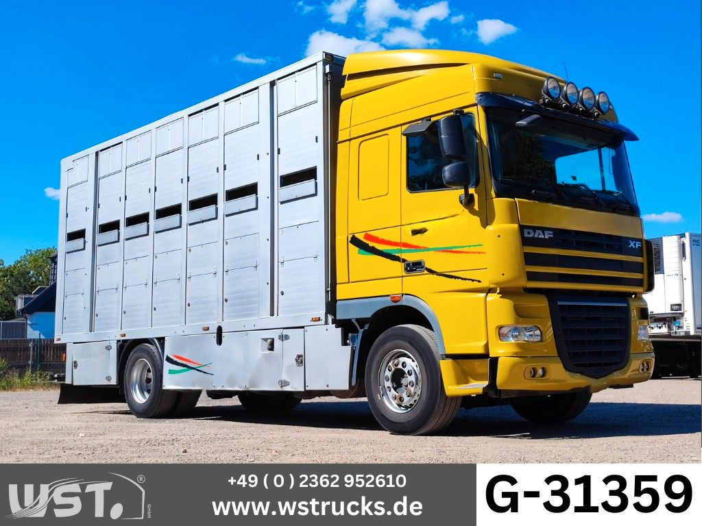DAF XF 410 SC Menke Doppelstock - Kamioni za prevoz konja: slika 1 DAF XF 410 SC Menke Doppelstock - Kamioni za prevoz konja: slika 1