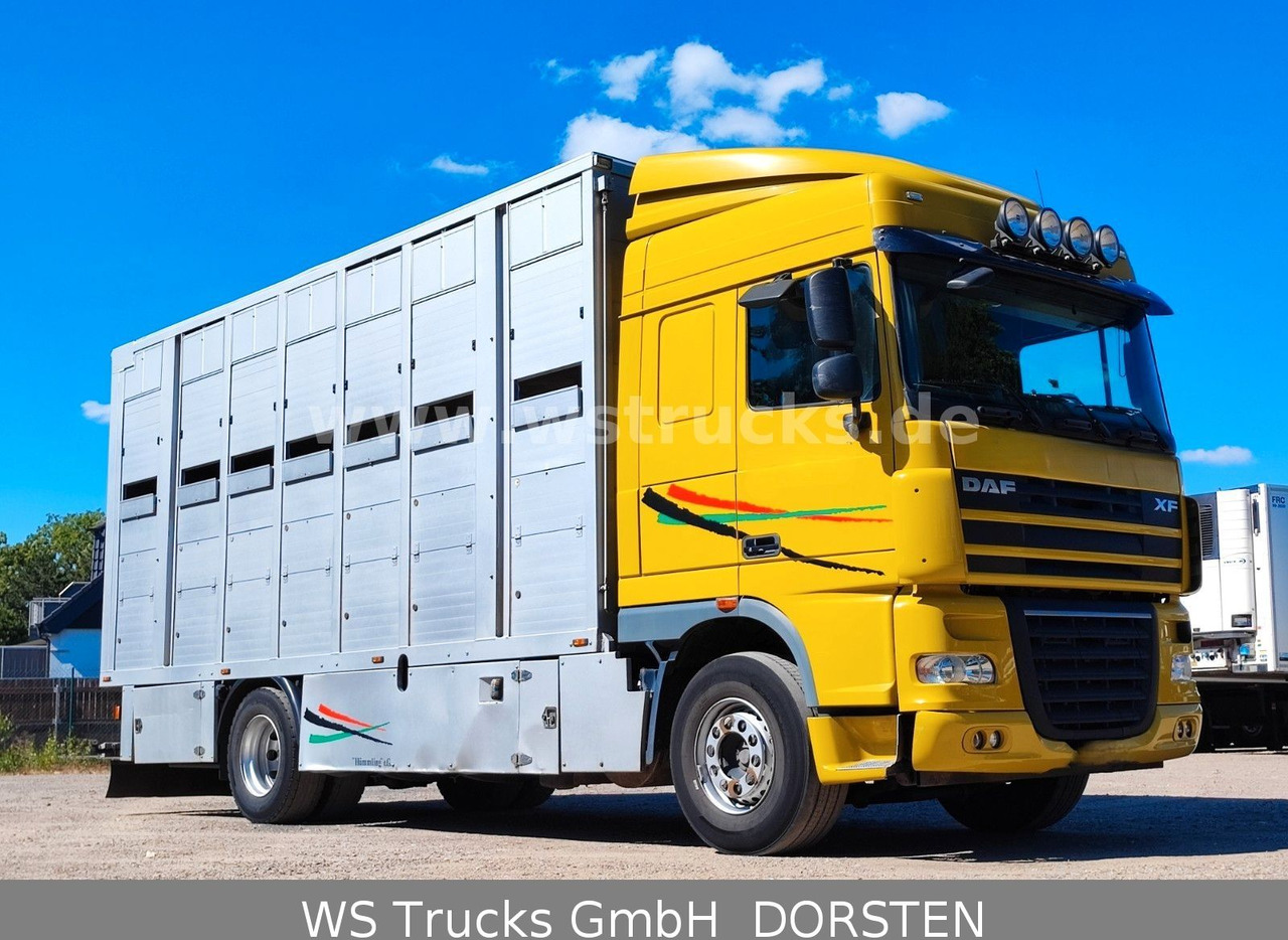 DAF XF 410 SC Menke Doppelstock - Kamioni za prevoz konja: slika 2 DAF XF 410 SC Menke Doppelstock - Kamioni za prevoz konja: slika 2